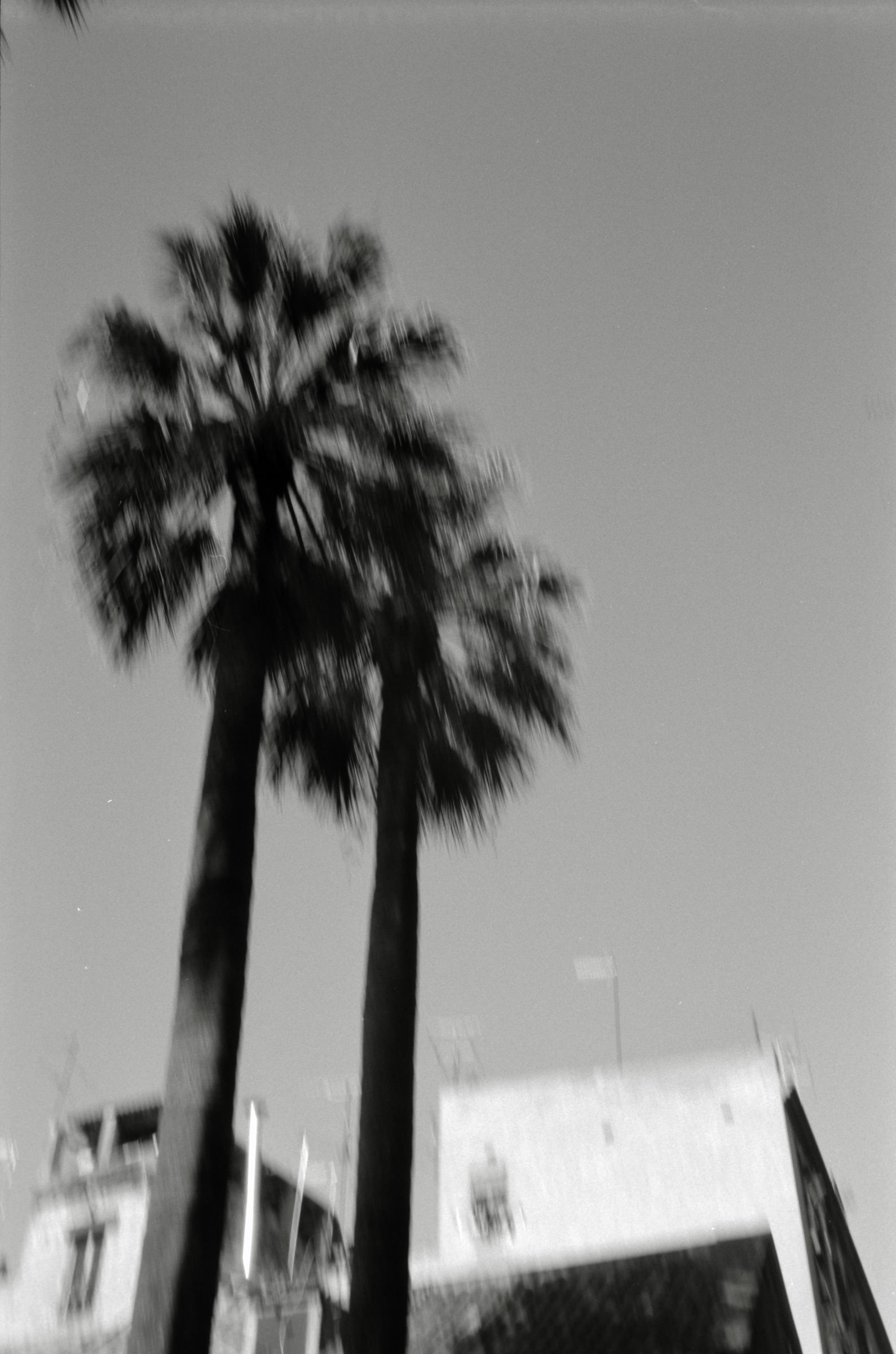 AHP F1996 03 001 sc240818 img17 NLP